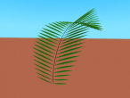 Palm tree leaf